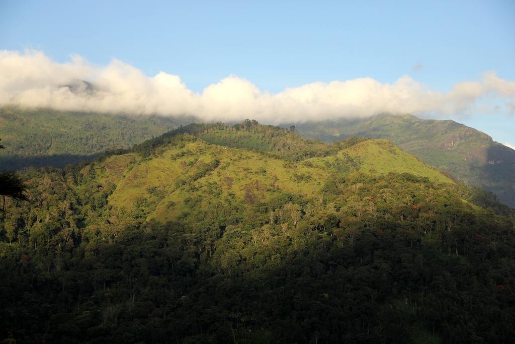 Ecotones Munnar By Eden Environs Hotel Luaran gambar