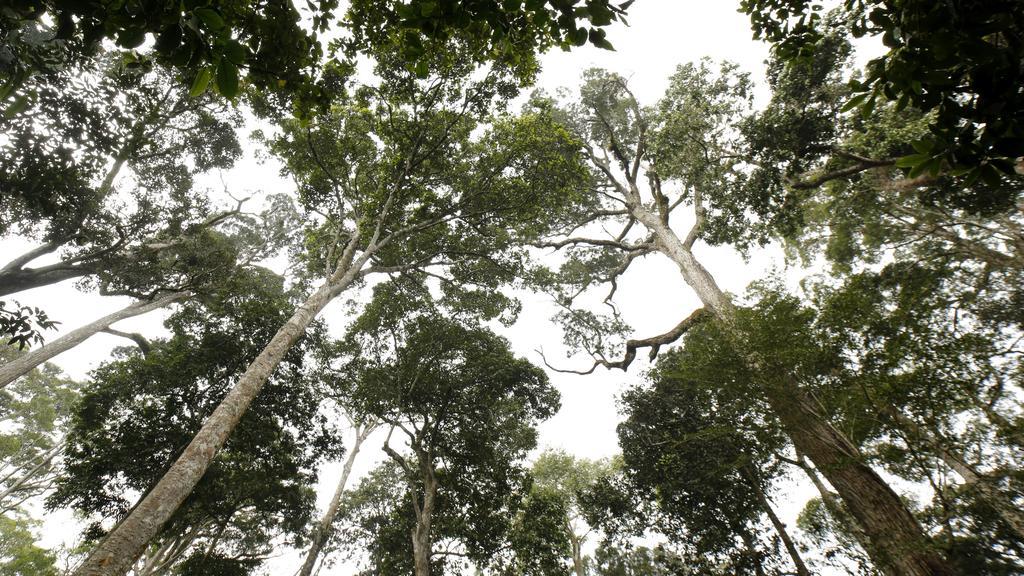 Ecotones Munnar By Eden Environs Hotel Luaran gambar