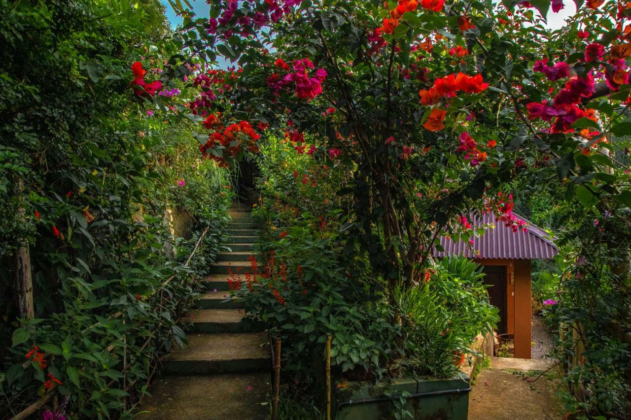 Ecotones Munnar By Eden Environs Hotel Luaran gambar