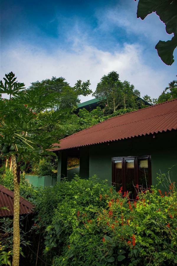 Ecotones Munnar By Eden Environs Hotel Luaran gambar