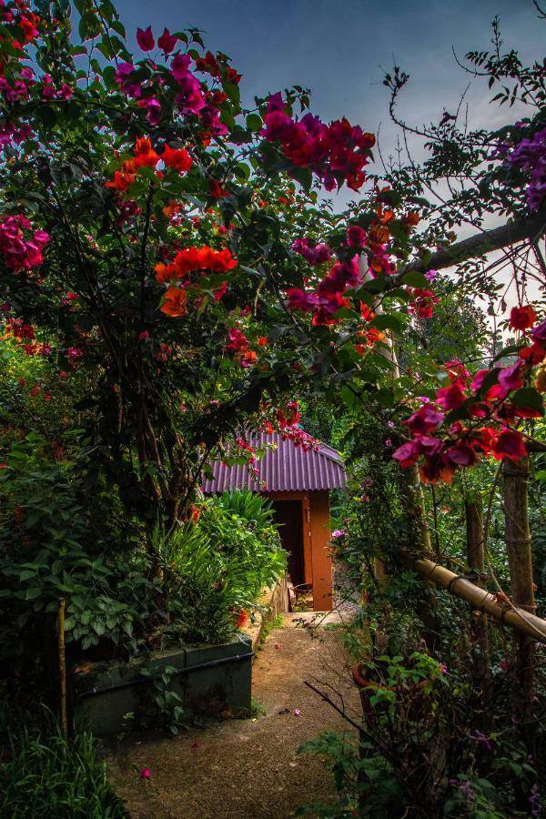 Ecotones Munnar By Eden Environs Hotel Luaran gambar