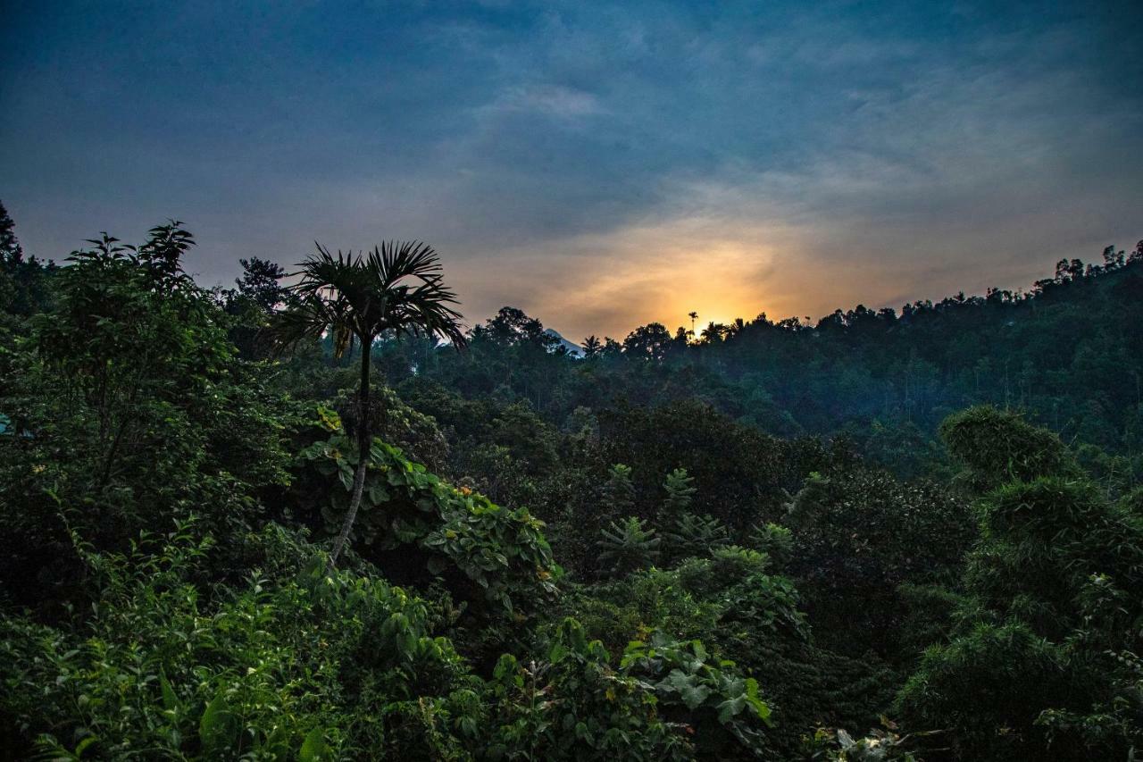 Ecotones Munnar By Eden Environs Hotel Luaran gambar